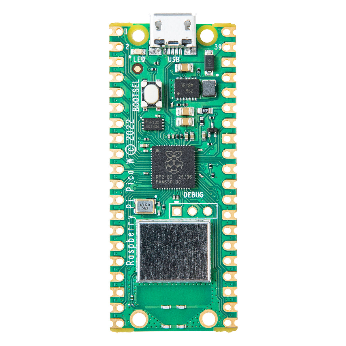 Raspberry Pi Pico W