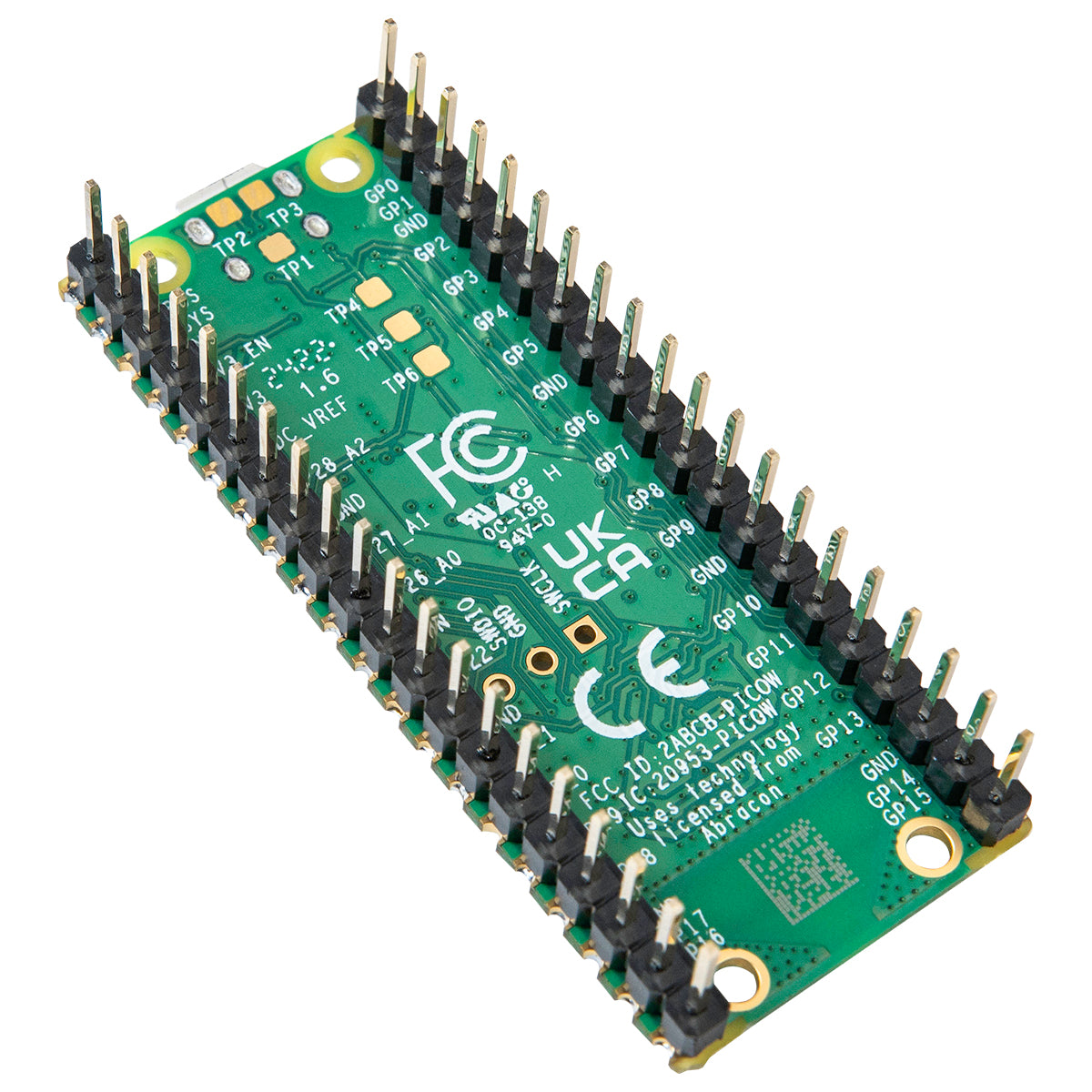Raspberry Pi Pico W Headers