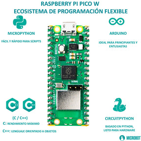 Kit Raspberry Pi Pico W RP2040 con Headers y Cable | WiFi IoT