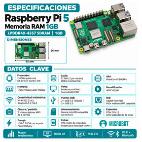 Raspberry Pi 5 - 1GB RAM
