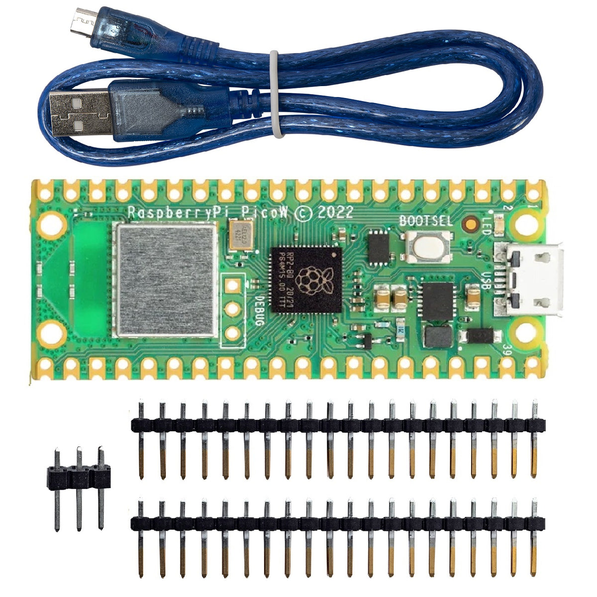 Kit Raspberry Pi Pico W Headers Cable microUSB